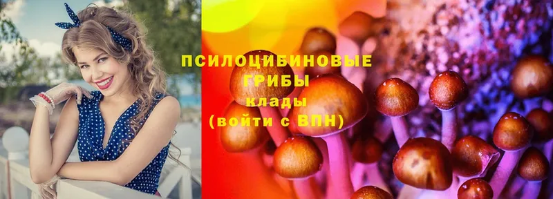 цена наркотик  даркнет клад  Псилоцибиновые грибы Cubensis  Урюпинск 