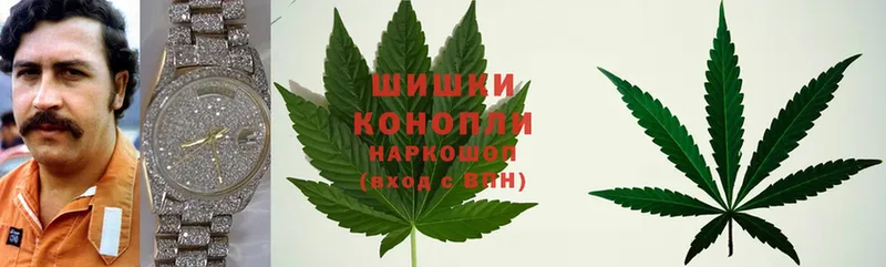 сайты даркнета какой сайт  Урюпинск  Шишки марихуана Ganja 